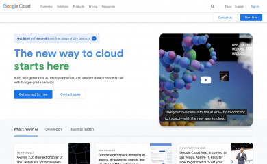 Google Inc. screenshot