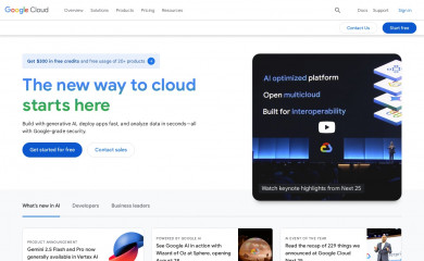 Google Inc. screenshot