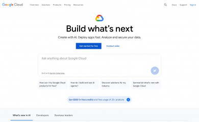 Google Inc. screenshot
