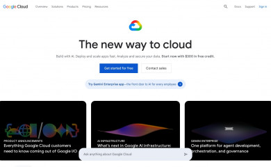 Google Inc. screenshot