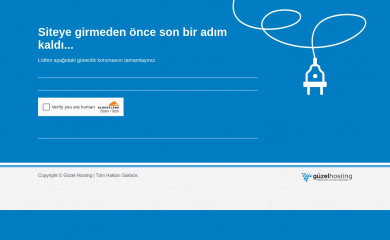 Guzel Hosting Hosting Providers Who Hosts This Site