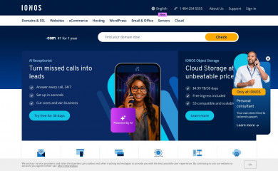 1&1 Internet screenshot